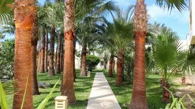 KSAR DJERBA
