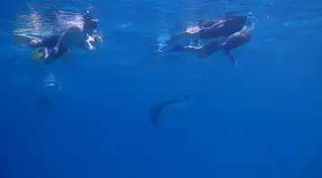 KUDAFUSHI RESORT & SPA