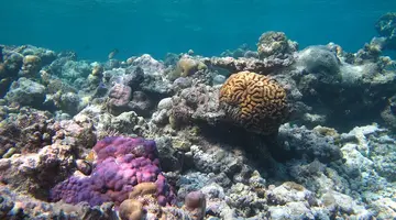 KUDAFUSHI RESORT & SPA