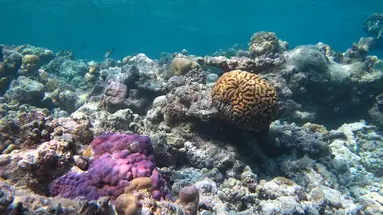 KUDAFUSHI RESORT & SPA
