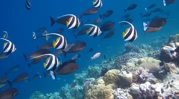 KUDAFUSHI RESORT & SPA