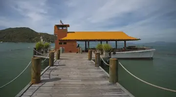 L ALYA NINH VAN BAY