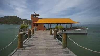 L ALYA NINH VAN BAY