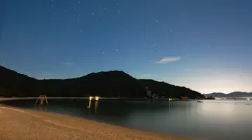 L ALYA NINH VAN BAY
