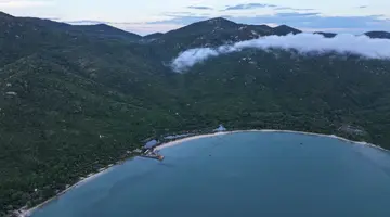L ALYA NINH VAN BAY
