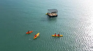 L ALYA NINH VAN BAY