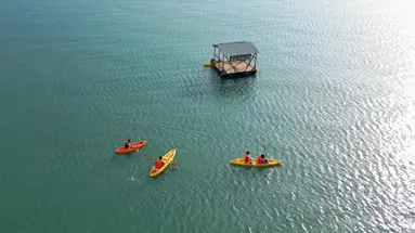 L ALYA NINH VAN BAY