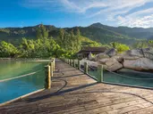 L ALYA NINH VAN BAY