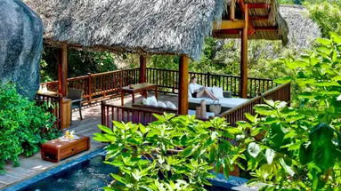 L ALYA NINH VAN BAY