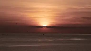 L ALYA NINH VAN BAY