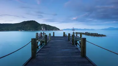 L ALYA NINH VAN BAY