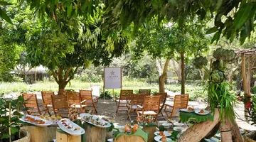 L ALYA NINH VAN BAY