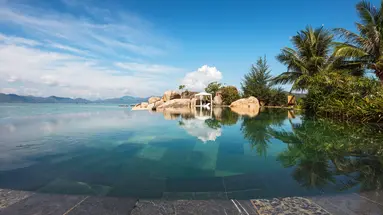 L ALYA NINH VAN BAY