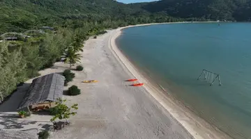 L ALYA NINH VAN BAY