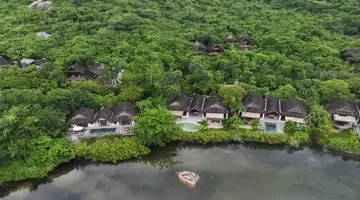 L ALYA NINH VAN BAY
