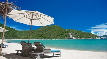 L ALYA NINH VAN BAY