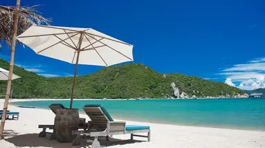 L ALYA NINH VAN BAY