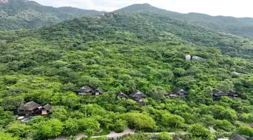 L ALYA NINH VAN BAY