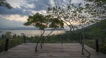 L ALYA NINH VAN BAY