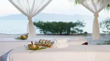 L ALYA NINH VAN BAY
