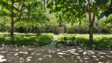 L ALYA NINH VAN BAY