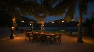 L ALYA NINH VAN BAY