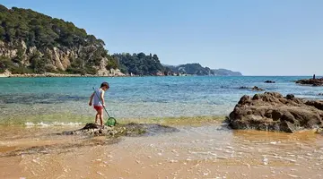 L'Azure
