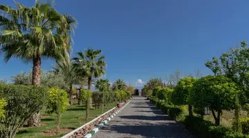 L Oliveraie de l Atlas