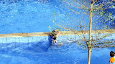LA CASA RESORT