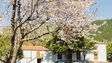 La Casona Del Patio