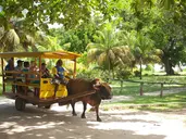 LA DIGUE ISLAND LODGE