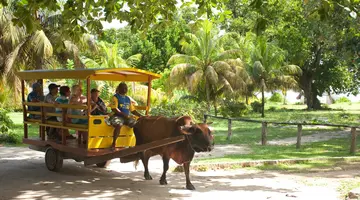 LA DIGUE ISLAND LODGE