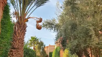 La Maison Des Oliviers
