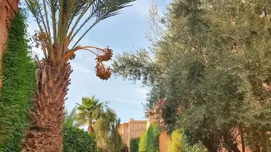 La Maison Des Oliviers