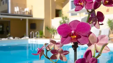 La Stella Suites