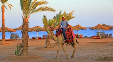 Labranda Royal Makadi