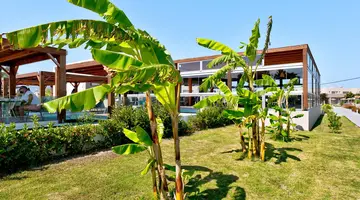 Lambi Resort