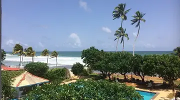 Lanka Super Corals