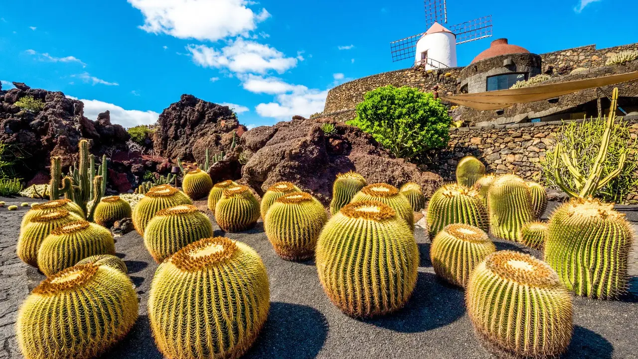 Lanzarote i Fuerteventura - Wyspy Ognia i Wiatru