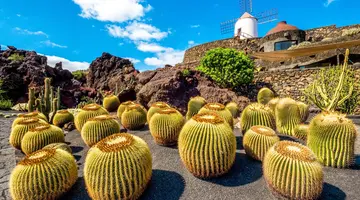 Lanzarote i Fuerteventura - Wyspy Ognia i Wiatru