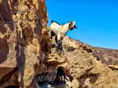 Lanzarote i Fuerteventura - Wyspy Ognia i Wiatru