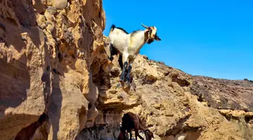 Lanzarote i Fuerteventura - Wyspy Ognia i Wiatru
