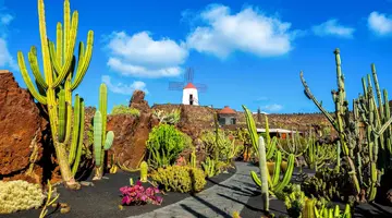 Lanzarote i Fuerteventura - Wyspy Ognia i Wiatru