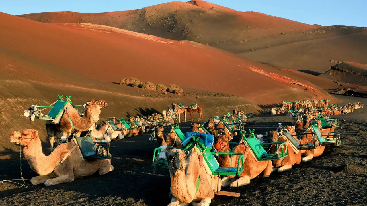 Lanzarote i Fuerteventura - Wyspy Ognia i Wiatru