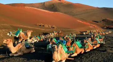 Lanzarote i Fuerteventura - Wyspy Ognia i Wiatru