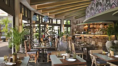 Lapita, Dubai Parks and Resorts, Autograph Collection