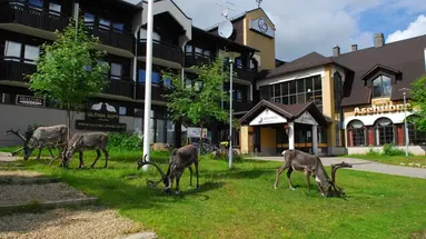 Lapland Hotels Riekonlinna