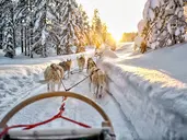 Laponia - Gdzie Renifery Mówią Dobranoc