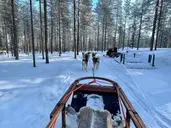 Lapońska Magia – Spotkanie ze Świętym Mikołajem