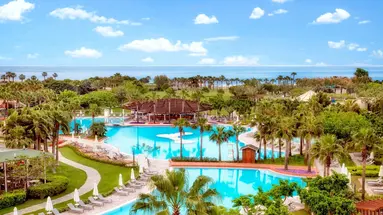 Lara Barut Collection